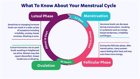 Menstrual Cycle and Exercise: Tailoring Your Fitness Routine to Your Cycle